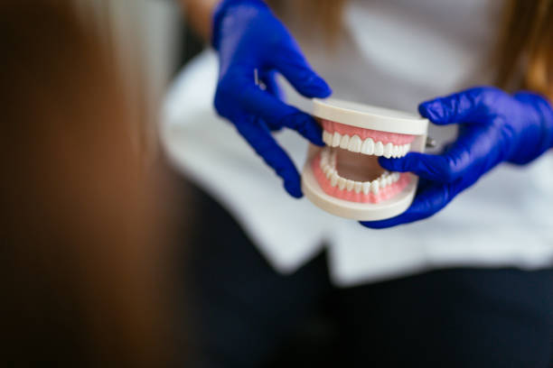 Reliable Clarksville, IN  Holistic Dental Services Solutions